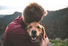 Why Dogs and Humans Love Each Other More Than Anyone Else