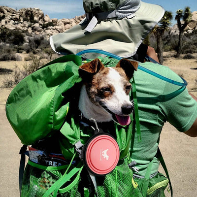 Collapsible Dog Bowl | Travel Dog Bowl | Goods Direct
