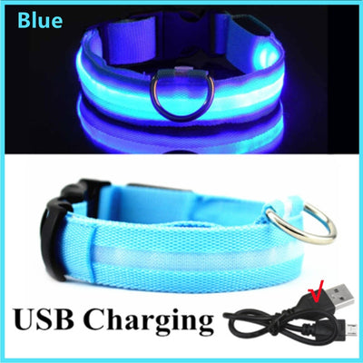 LED Glowing Dog Collar - Goods Direct