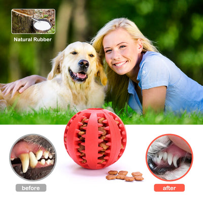 Pet Interactive Rubber Chewing Toy - Goods Direct