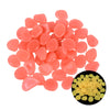 Glow in the Dark Garden Pebbles - Goods Direct