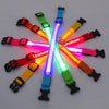 LED Glowing Dog Collar - Goods Direct