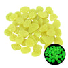 Glow in the Dark Garden Pebbles - Goods Direct