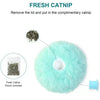 Plush Electric Catnip Cat Toy Ball - Goods Direct