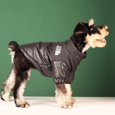 Windproof Winter Dog Jacket - Goods Direct